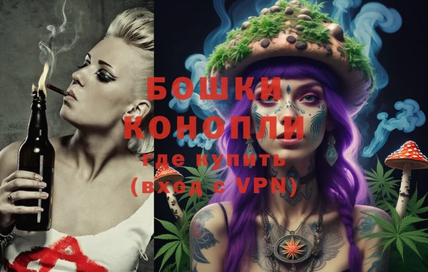 дживик Тында