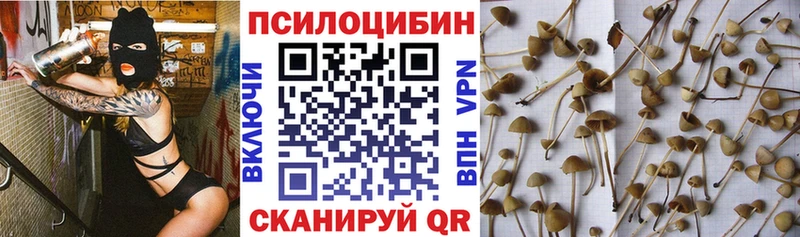 МЕГА маркетплейс закладки Инза Псилоцибиновые грибы MAGIC MUSHROOMS